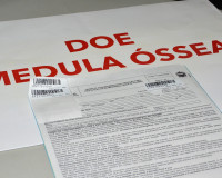 Hemoal realiza cadastro para doação de medula óssea em Penedo na segunda-feira