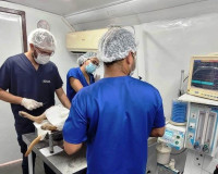 Nova edição do Castra Pet em Penedo acontece nesta terça, 14, com feirinha de adoção