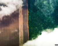 Conhecimento indígena pode melhorar relação com o meio ambiente