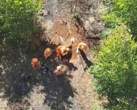 Denúncia de suposto achado de cadáver em Penedo mobiliza Corpo de Bombeiros