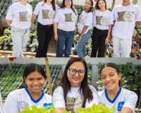 Startup alagoana inaugura projeto de hortas hidropônicas em escola pública