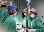 Central de Transplantes de Alagoas mobiliza equipes em três hospitais para salvar 11 vidas