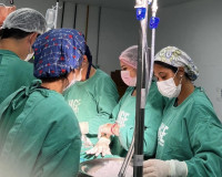 Central de Transplantes de Alagoas mobiliza equipes em três hospitais para salvar 11 vidas