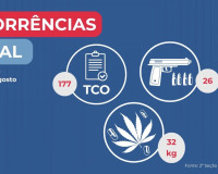 Polícia Militar apreende 32 quilos de drogas e 26 armas de fogo durante uma semana