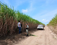 PC apura homicídio de homem enterrado em canavial na zona rural de Penedo