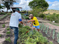 Prefeitura de Penedo e Senar abrem inscrição para cursos gratuitos de produção de hortaliças e de criação de peixe