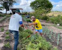 Prefeitura de Penedo e Senar abrem inscrição para cursos gratuitos de produção de hortaliças e de criação de peixe