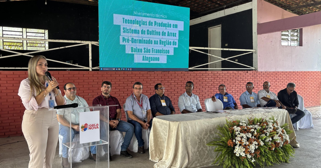 Seagri fortalece rizicultura no Baixo São Francisco com Programa Alagoas Mais Arroz