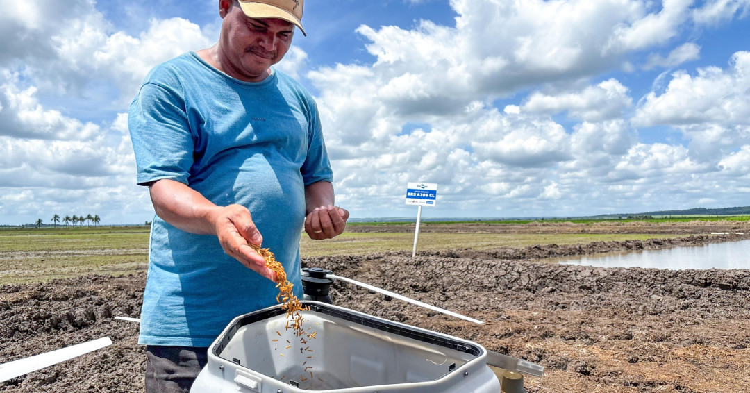 Programa leva inovação e tecnologia para melhorar produtividade do Baixo São Francisco