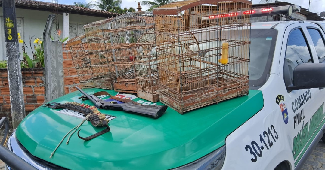 Batalhão Ambiental apreende armas e resgata animais silvestres em Igreja Nova e Porto Real do Colégio
