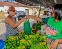 Feira da Agricultura Familiar em Penedo avança com Projeto Quintais Produtivos