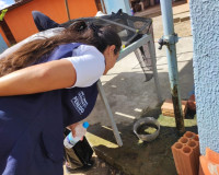 Com menor casos de dengue desde 2013, Penedo supera critérios para receber vacina